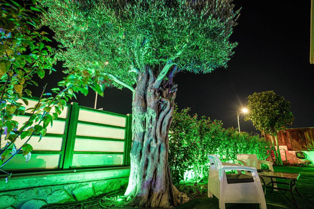 Villa Pomela By Sun And View Eilat Dış mekan fotoğraf